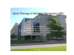 Gene Therapy in RP - University of Louisville Ophthalmology