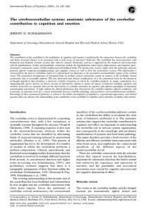 The cerebrocerebellar system: anatomic substrates of the cerebellar