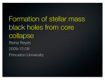 Stellar-mass Black Hole Formation