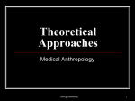 Theoretical Approaches in Medical Anthropology