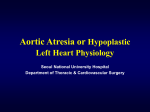 Aortic atresia