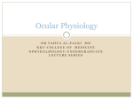 Ocular Physiology