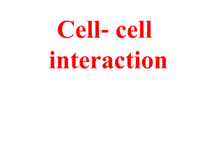 cell junction