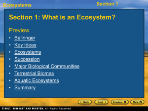 What Is an Ecosystem?
