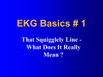 EKG Basics - jan.ucc.nau.edu