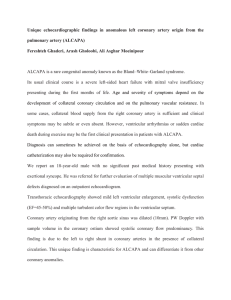 Unique echocardiographic findings in anomalous left coronary