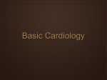 01 Basic Cardiology