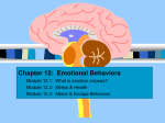 Emotional Behaviors