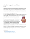 A Guide to Congestive Heart Failure