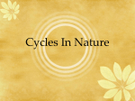 Cycles In Nature