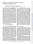 Potassium currents in ventricular myocytes from genetically diabetic