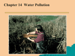 Chapter 14 Water Pollution