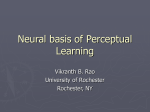 Neural basis of Perceptual Learning
