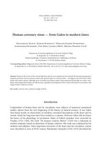 Human coronary sinus — from Galen to modern times