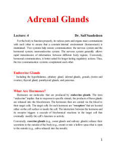 Adrenal Glands