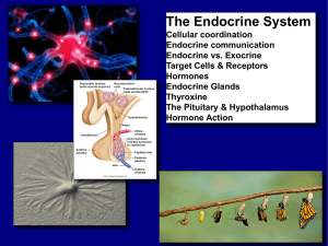 Hormones - (canvas.brown.edu).