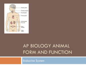 AP Biology Animal Form and Function