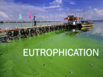 Eutrophication - IISME Community Site