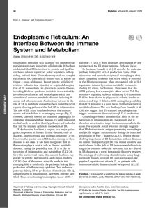 Endoplasmic Reticulum: An Interface Between the Immune System