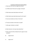 Circulatory/ Cardiovascular System Review