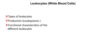 Types of White Blood Cells WBCs.