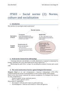 Social norms (2): Norms, culture and socialization