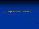 Thyroid Gland Hormones