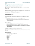 Energy Flow in a Marine Environment lesson