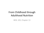 From Childhood through Adulthood Nutrition