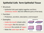 SPECIALIZED CELLS