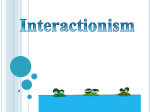 Interactionism - EP