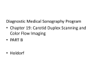 vascular-technology-lecture-19-carotid-duplex-scanning-and-cfi-part-b