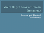 An In Depth Look at Human Behaviour