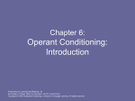 Chapter 6