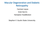 Macular Degeneration And Diabetic Retinopathy