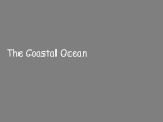 The coastal ocean