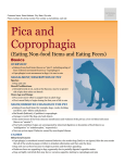 pica_and_coprophagia