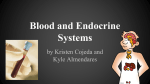 Blood and Endocrine Systems