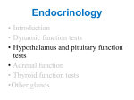S10 Clinicalbiochem2 DrNansy Hypothalamus And Pituitary