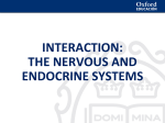 interaction: the nervous and endocrine systems