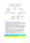 human circulatory system blood heart blood