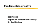 Fundamentals of saliva
