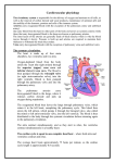 Cardiovascular physiology The circulatory system is responsible for
