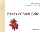 Basics of Fetal Echo