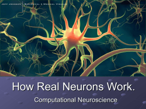 “The Physiology of Excitable Cells”