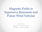 Magnetic Fields in Supernova Remnants and Pulsar