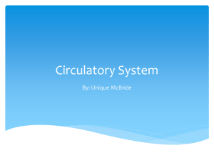 Circulatory System