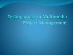 Testing phase in Multimedia Project Management