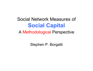 social network measures of social capital