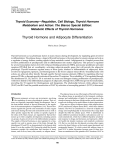 Thyroid Hormone and Adipocyte Differentiation